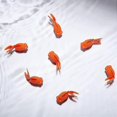 thumbnail image 3 of Artificial Aquarium Fishes Plastic Fish Realistic Ornament 15 Pcs, 3 of 5