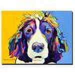 Trademark Art "Sadie" Canvas Art by Pat Saunders-White
