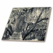 3dRose Georgia, Savannah, Bonaventure Cemetery, Black and White - Ceramic Tile, 4-inch