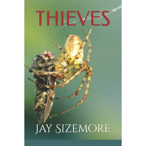 thieves (Paperback) by Jay Sizemore