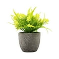 thumbnail image 2 of Decodeary Green Eco-friendly Artificial Money Tree In Pot Long-lasting Durability Realistic Appearance yellow rose 1Set, 2 of 6