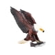 thumbnail image 5 of Figuras de animales, modelos de aves, figuras educativas de animales, estatuas de aves de vida silvestre para Estilo B, 5 of 9