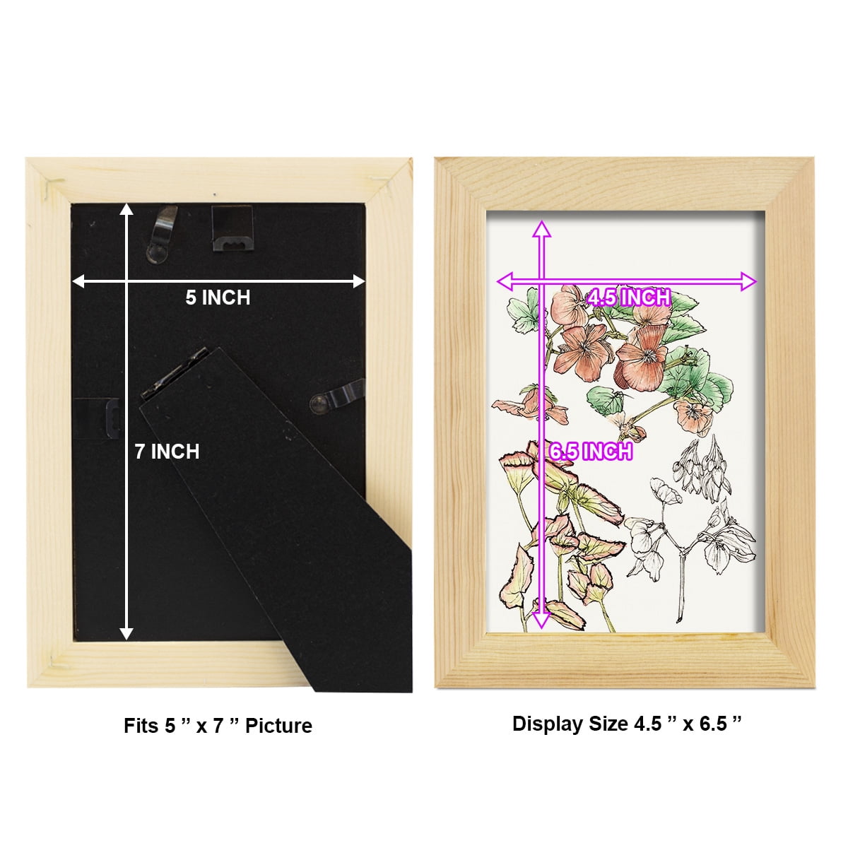 Begonia Study -Framed Print w/glass-Natural Wood