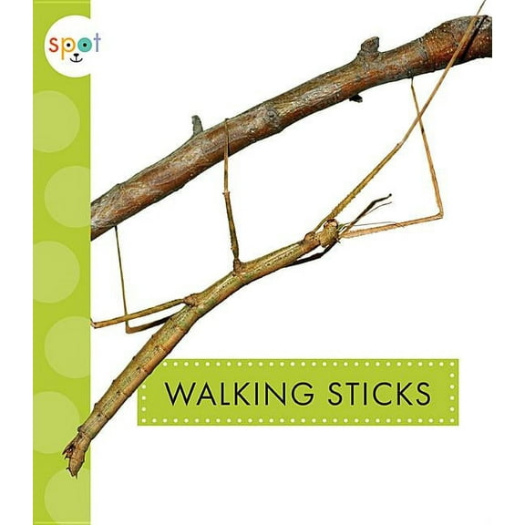Spot Creepy Crawlies: Walking Sticks (Paperback)