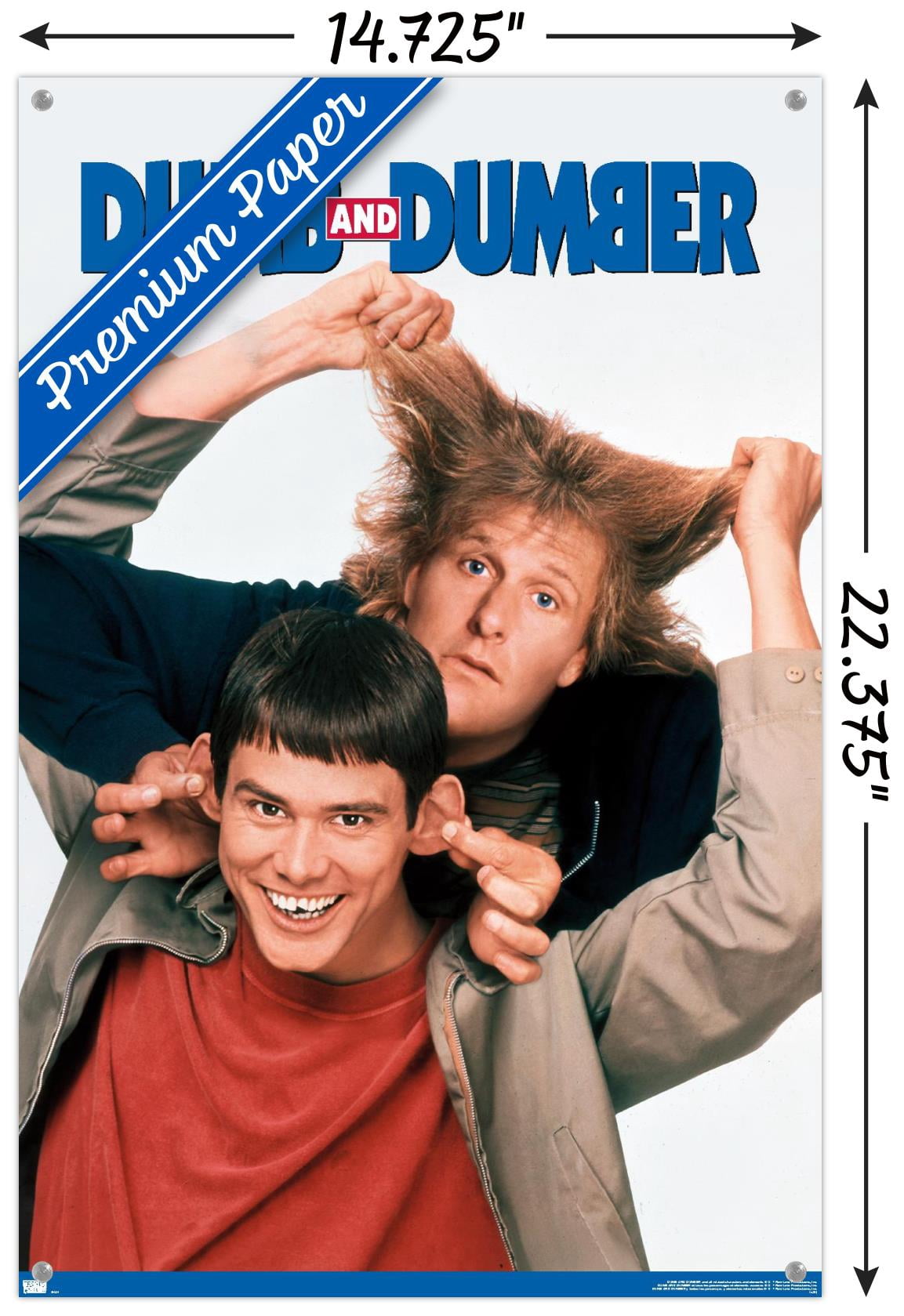 Dumb and Dumber - Together Wall Poster with Pushpins, 14.725" x 22.375"