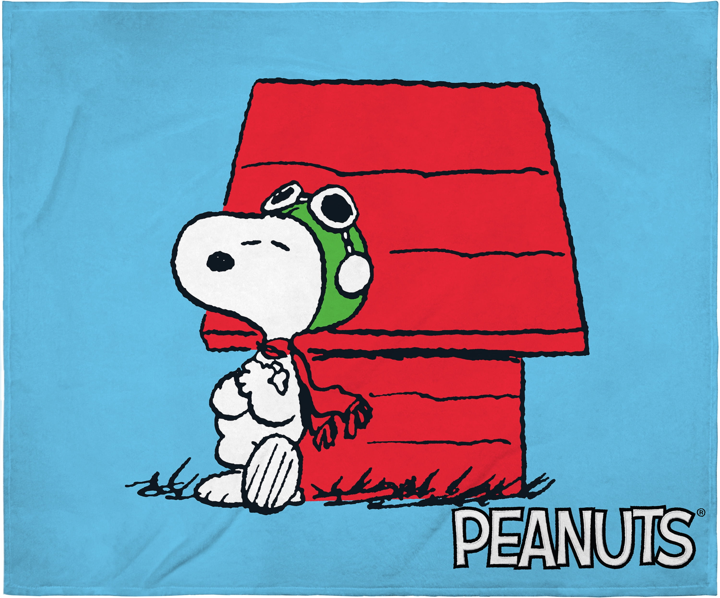 Peanuts Snoopy Charlie Brown Red Plaid Fleece Soft Throw Blanket 55x70 Christmas 