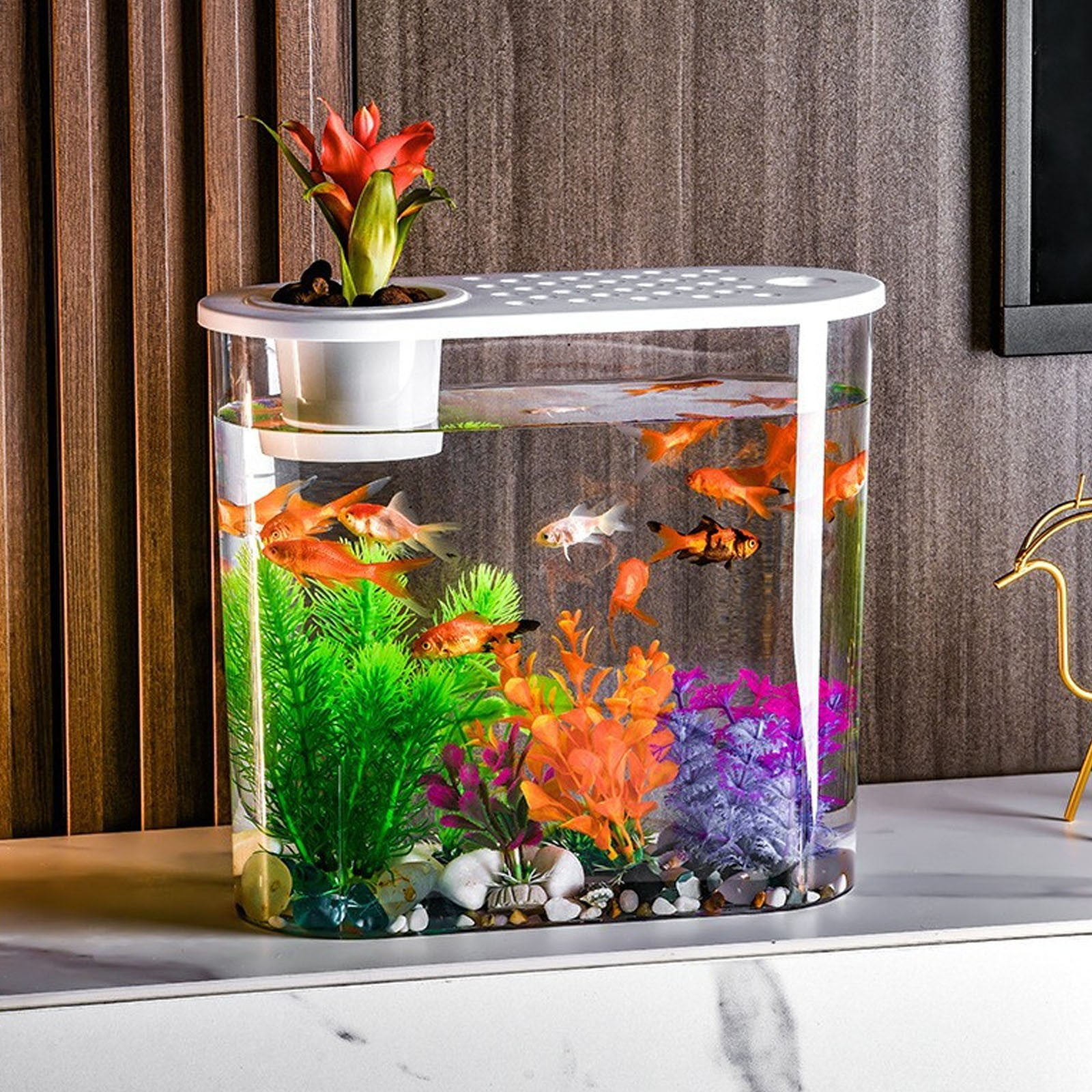 Desktop Aquarium Fish Bowl Multiuse Aquatic Pet Case Terrarium Fish Tank Box for Office Living Room Home Lizards Hermit Crabs, White Lid,fish tank aquarium,salt water fish tank aquarium kit