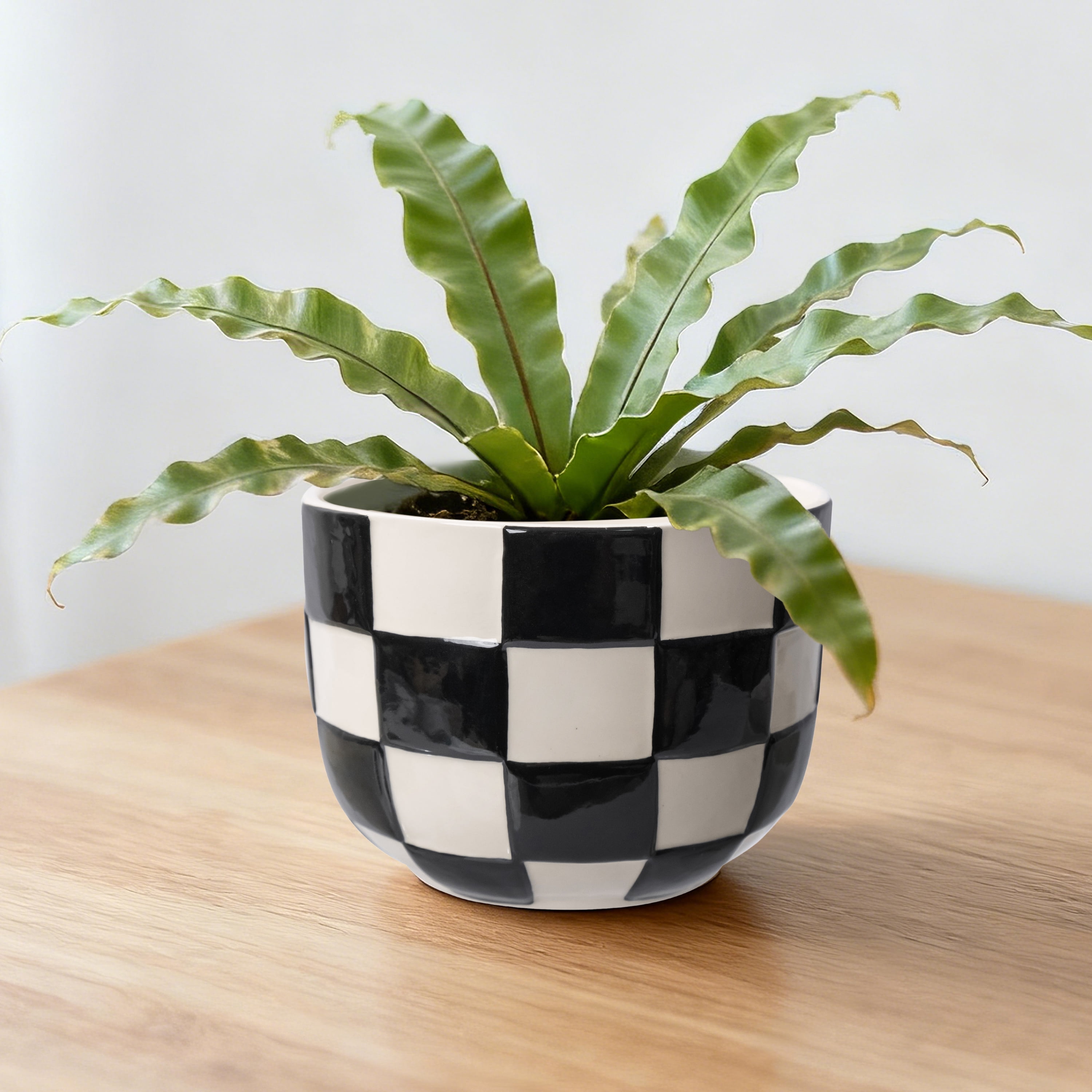 Mainstays Lennon 6" x 6" x 4.5" Round Black Checkered Ceramic Planter