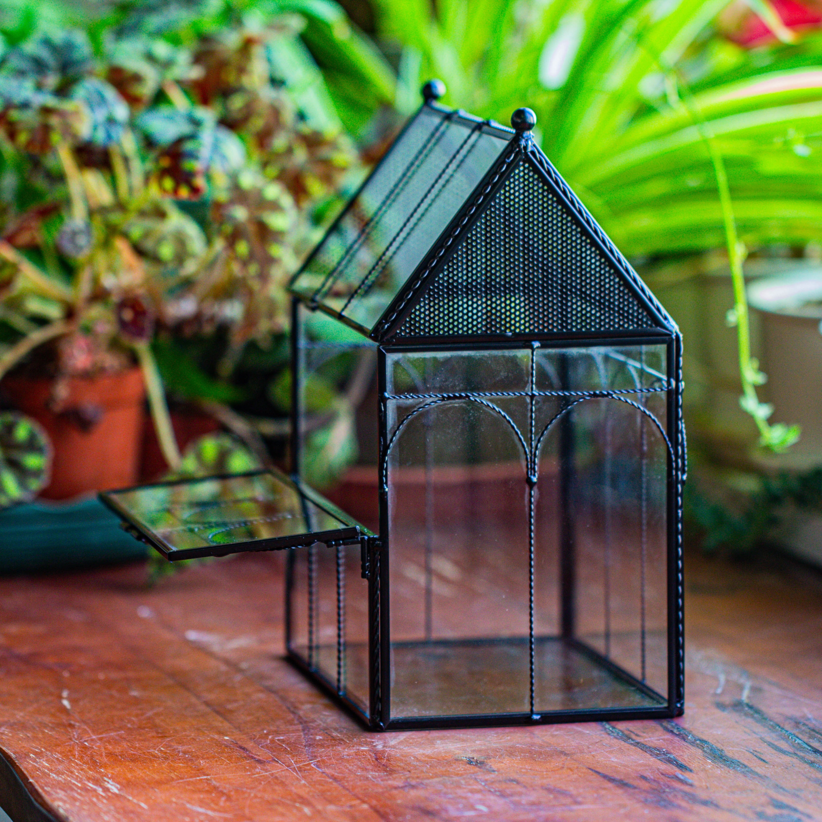NCYP Glass Terrarium Enclosure with Vents for Insects and Spiders, Front Open