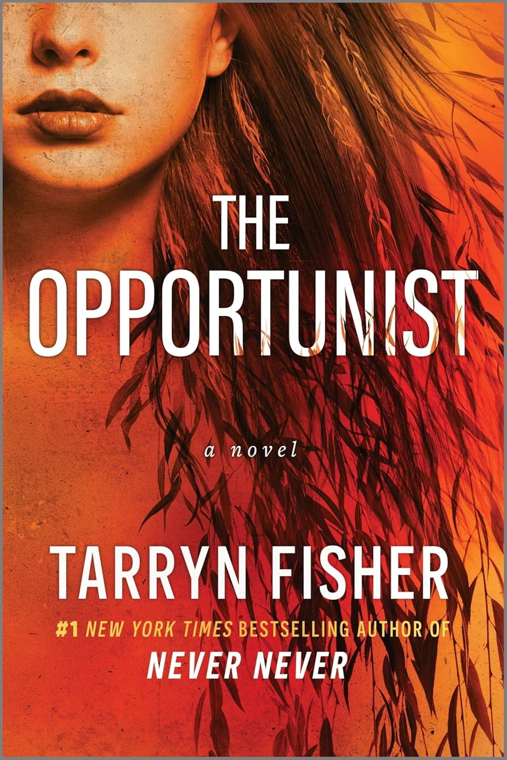 New and Trending: Love Me with Lies: The Opportunist by Tarryn Fisher