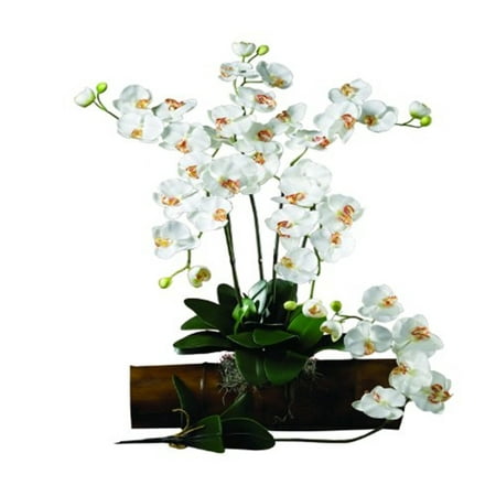 Nearly Natural Phalaenopsis Stem (Set of 12) Majestic in stature  yet delicate in form  this beautiful Phalaenopsis Orchid personifies exactly why orchids are so sought after. The crisp green stalk bursts forth from a leafy base and stands straight as an arrow  while the delicate blooms lightly grace the plant s upper echelons. Available in several colors  these beautiful orchids make a perfect gift.