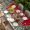 Red White Green, variant on Black Christmas Snowman Table Cloths for 4 Foot Rectangle Tables, Xmas Tree Snowflake Botanical Patio Waterproof Elastic Fitted Tablecloths, Washable Rectangular Table Cover for Camping