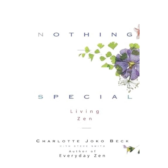 Pre-Owned Nothing Special (Paperback) 0062511173 9780062511171