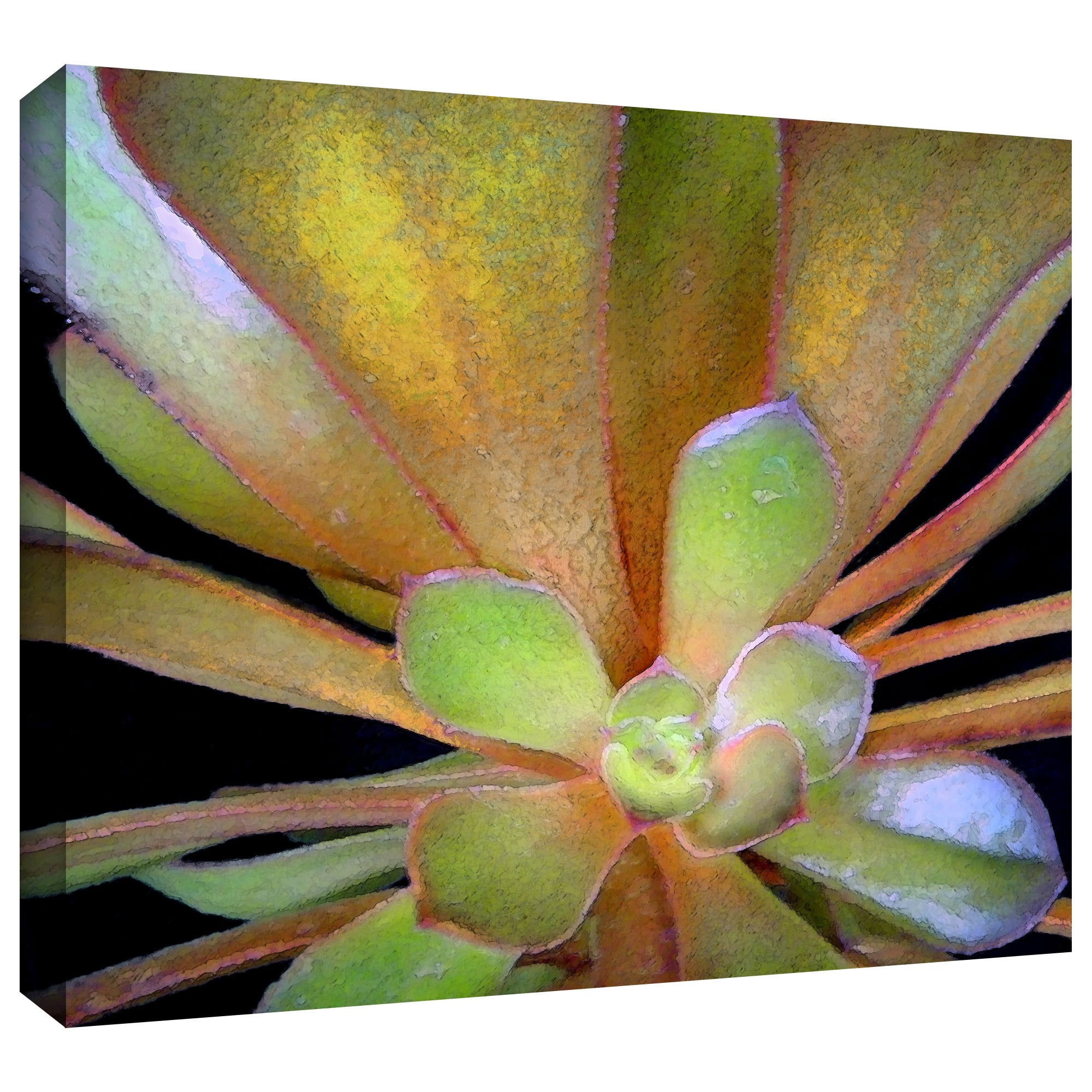 Dean Uhlinger "Suculentos Estudio" Gallery-Wrapped Canvas