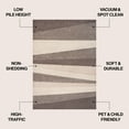 thumbnail image 2 of JONATHAN Y DAZZLE 4 x 6 Area Rug, Prism Geometric Striped - Beige/Brown, DZC101C-4, 2 of 6