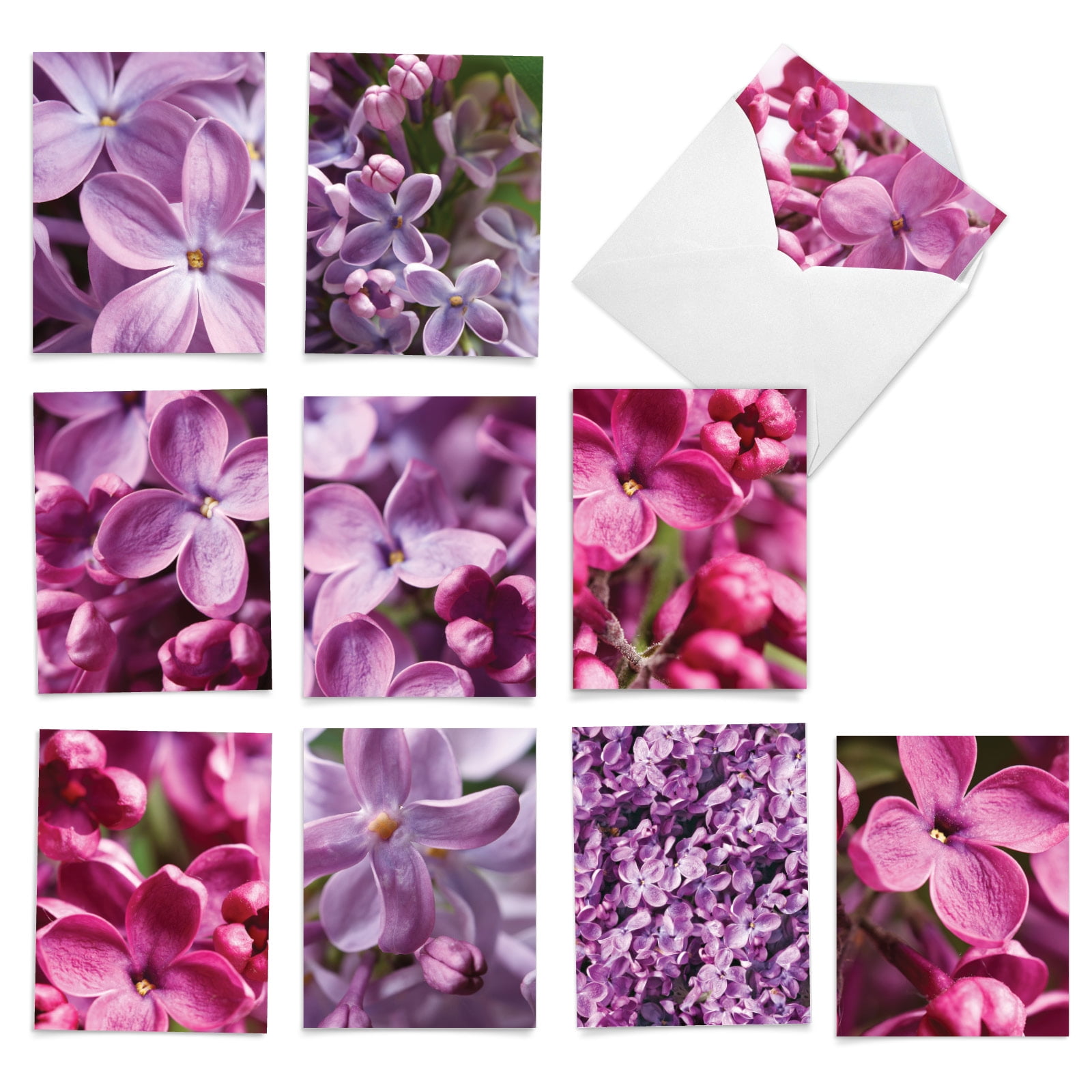 10 All Occasion Blank Note Cards Assorted (4 x 5.12 Inch) - THE COLOR PURPLE M6032