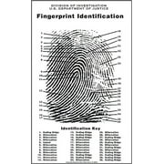 Crime Scene Fingerprint Chart, Poster Size 24" by 36"