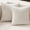 Beige, variant on BEHOST 55" Loveseat Couch with Extra Deep Seats,Chenille 2-Seater Sofa with Side Storage & 2 Pillows,Cloud Sofa for Living Room & Small Spaces,White