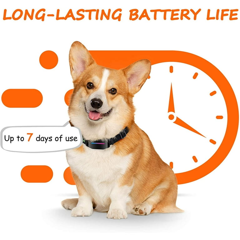Dog care bark collar effective bark collar for dogs sound cheap vibration