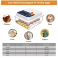 thumbnail image 4 of Hairycotar Incubators for Hatching Eggs, 16 Eggs Incubator with Automatic Egg Turning and Humidity Display, Temperature and Humidity Alarms, Egg Candler for Hatching Chicken Quail Ducks, 4 of 11