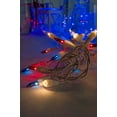 thumbnail image 3 of See All String Lights Patriotic Red White & Blue String Lights 32 Feet Plug-in White Wire, 3 of 4