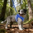 thumbnail image 5 of Oliegs Boxbollen Cat Harness And Leash For Walking Adjustable Vest With Reflective Strap For Puppy Christmas, 5 of 5