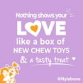 thumbnail image 6 of Nylabone The Box - Chew Toys & Treat Dog Gift Box Variety Small (4 Count), 6 of 11