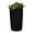 Black, variant on Good Ideas Impressions Palm 65 Gallon Rain Saver - Black