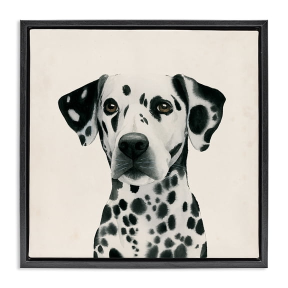 Stupell Industries Farmhouse Traditional Dalmatian Portrait Black Floating Frame Canvas Art, 18 x 18, by Grace Popp