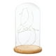 thumbnail image 2 of Cúpula con vitrina de cristal con luces LED suspendidas, decoraciones para UNA, 2 of 9