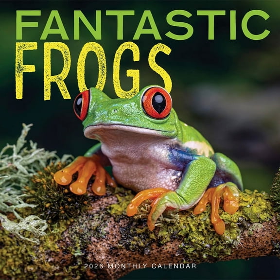 Frogs Calendar 2026 | Fantastic Frogs Wall Calendar | 12” x 24” 16 Month | Marble City Press