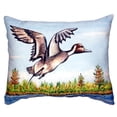thumbnail image 3 of Betsy Drake Pintail Duck No Cord Pillow 16x20, 3 of 3