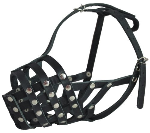 mesh muzzle for pitbull