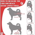 thumbnail image 5 of Férula para patas traseras de perros | Salud de las articulaciones para perros, la envoltura de la articulación del corvejón de la pierna trasera del perro protege las heridas, la abrazadera de compresión cura esquí esquí Gafas de esquí, 5 of 5