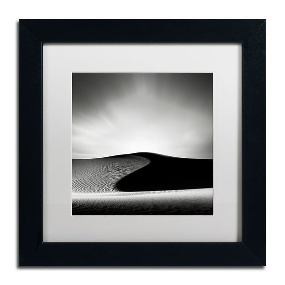 Trademark Fine Art "Dark Shadows" Canvas Art by Dave MacVicar, White Matte, Black Frame