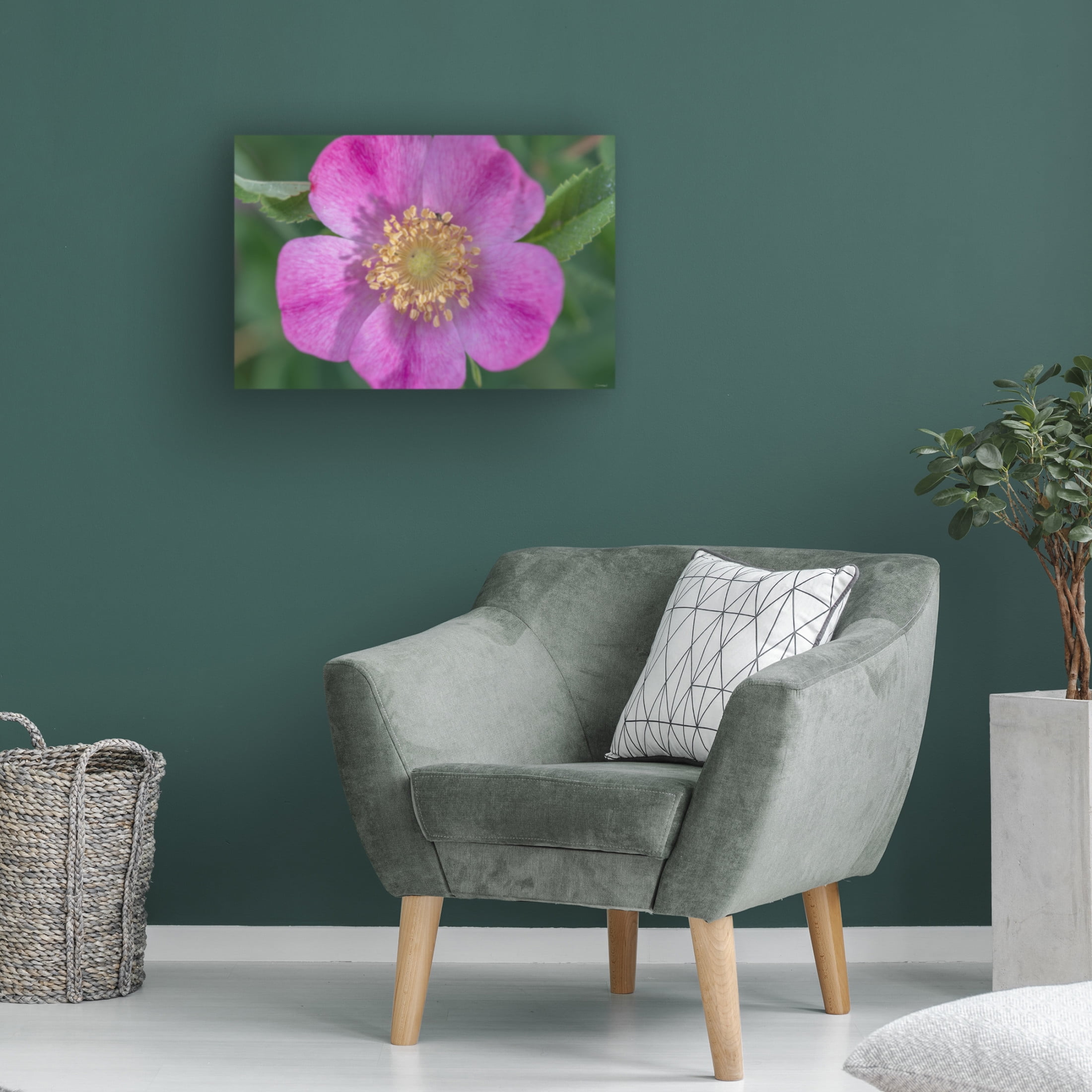 Canvas Wall Art - Gordon Semmens 'Textures 16' Wall Art for Living Room, Bedroom, or Office Décor by Trademark Fine Art - 47 x 30 Inches