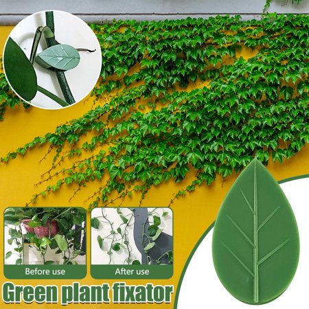 

Womail Black and Friday Deals 20PCS Plant Climbing Wall Fixture Clips Invisible Wall Vines Fixture Wall Hook
