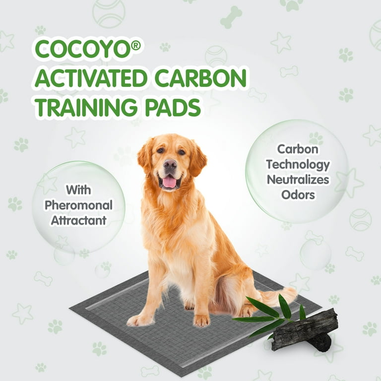 Cocoyo Y21 Puppy Training Pads, Ultra Charcoal Dog Pee Pad (Carbon