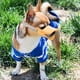 thumbnail image 5 of Anti mordida forma de boca de pato cubre la boca del perro máscaras de bozal anti-llamada juego de boca de mascota a prueba de mordeduras, 5 of 5