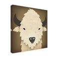 thumbnail image 2 of Trademark Fine Art 'Buffalo I' Canvas Art by Ryan Fowler, 2 of 3