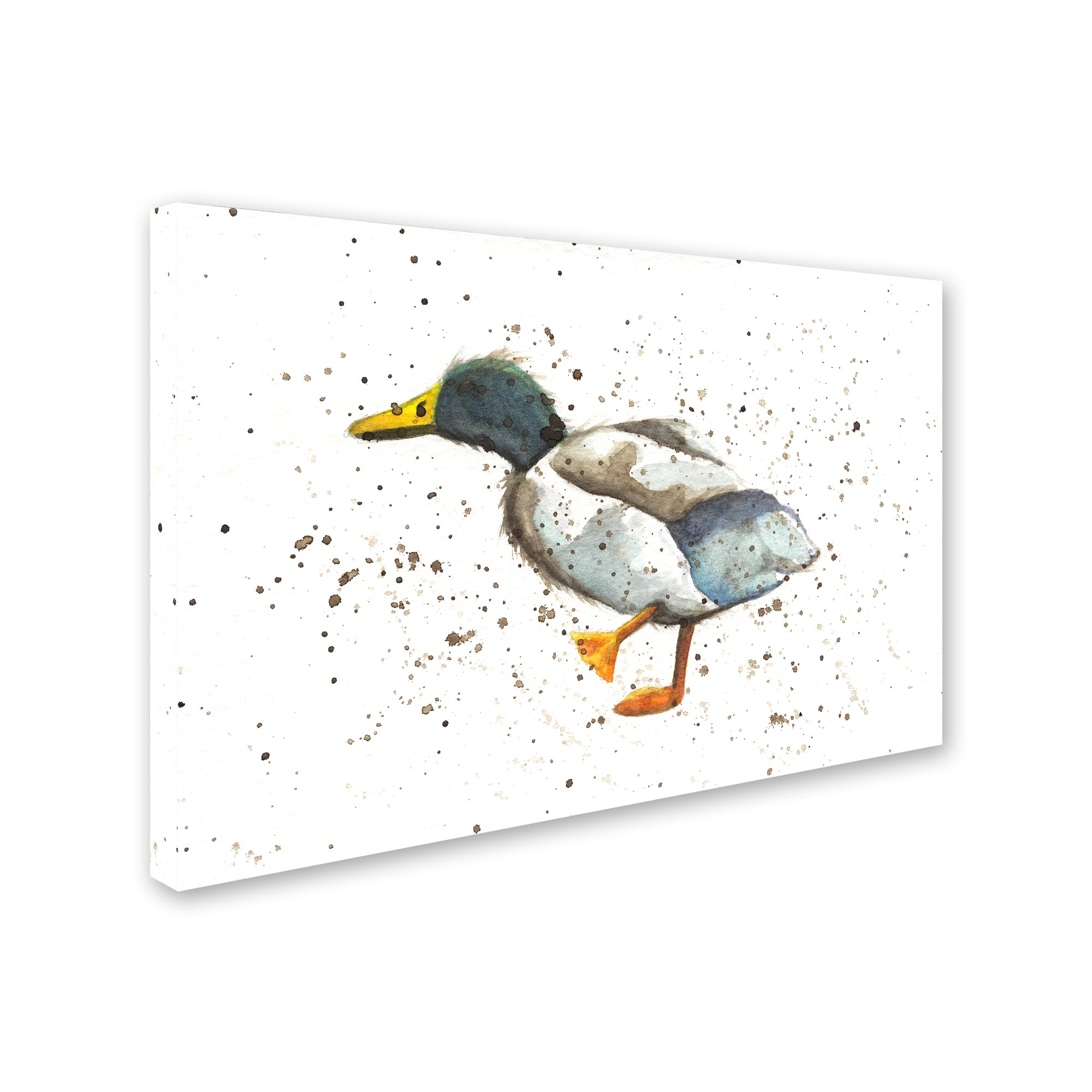Trademark Fine Art 'Duck 1' Canvas Art by Michelle Campbell
