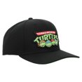 thumbnail image 4 of Teenage Mutant Ninja Turtles Retro Brothers Snapback Hat, 4 of 6