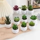 thumbnail image 4 of Planta suculenta artificial en maceta, cactus pequeños de imitación, decoración para interiores y exteriores, U7G6, 4 of 6