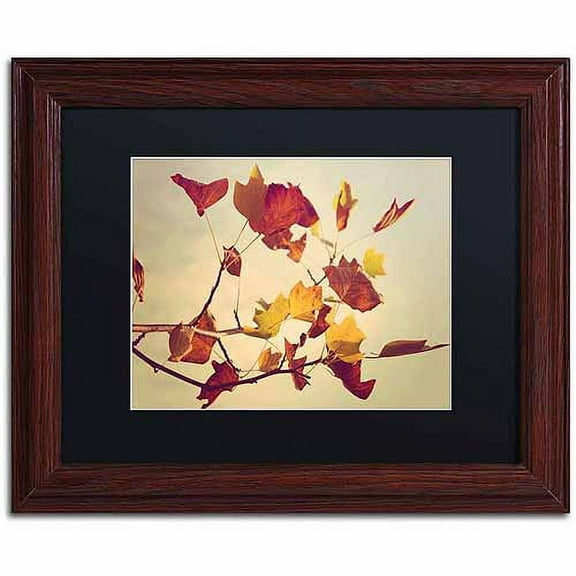 Trademark Fine Art "Still Fall" Canvas Art by Philippe Sainte-Laudy, Black Matte, Wood Frame