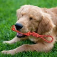 thumbnail image 1 of Dog Chew Rope Toy For Interactive Tug Of War Durable Plaything For Enhanced Bonding Ideal For All Sizes Breeds Dog without Stuffing Chew for Aggressive Chewers Medium Breed Dog Easter Dog for Chewers, 1 of 3