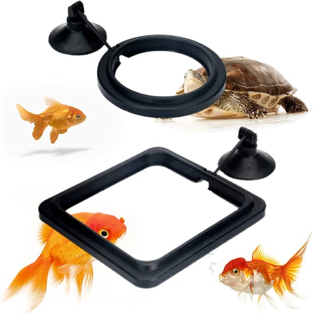 2 piezas de Anillo de alimentación para peces SSuperp comedero para peces con ventosa negro