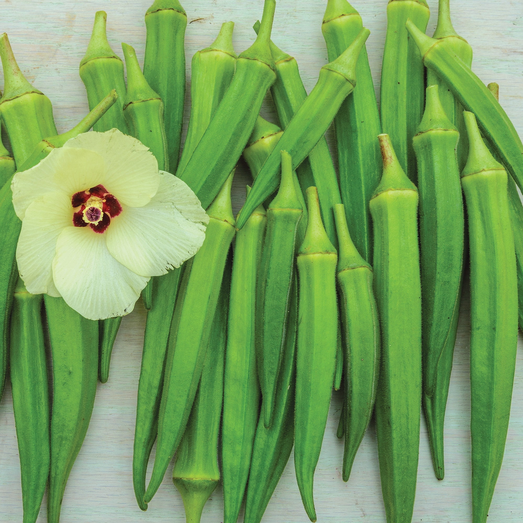 Burpee Clemson Spineless Okra Vegetable Seed, 1-Pack