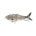 thumbnail image 1 of Daily Mix Store Robotic Swimming Fishing Lure Usb Rechargeable 3d Bionic Fish Bait With Auto Swimming Led Light Attraction for Freshwater Saltwater 19cm Common Shad, 1 of 8