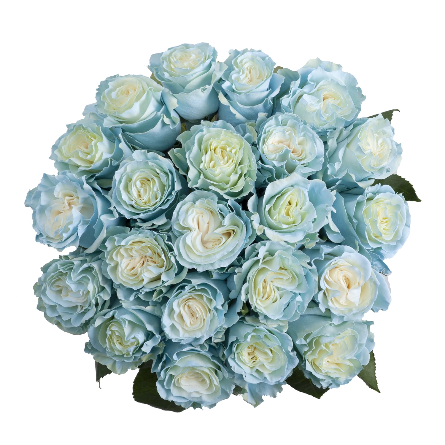 Farm Direct Fresh Light Blue Glitter Roses | Light Blue Glitter Flower  Bouquet of 12 Fresh Roses (Dozen) + Vase Included