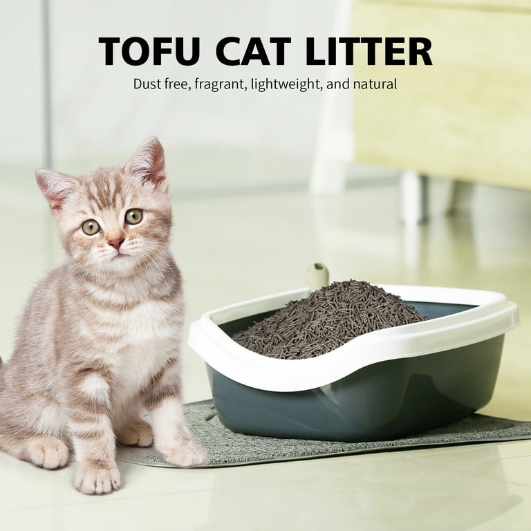 Kitty litter dust discount